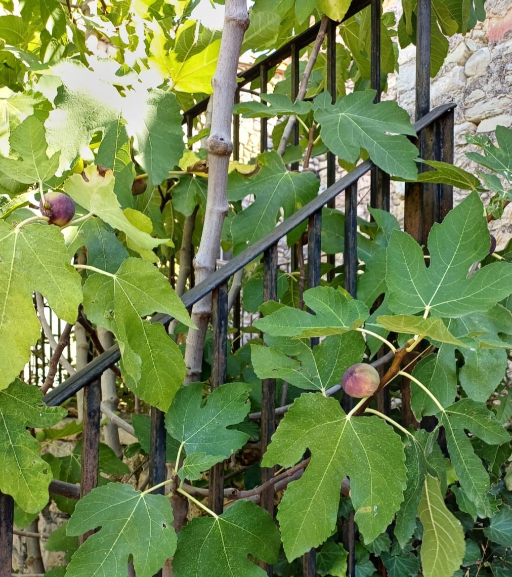 Screenshot 20260302 162454 Gallery